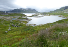 Landschaft (Röldal)