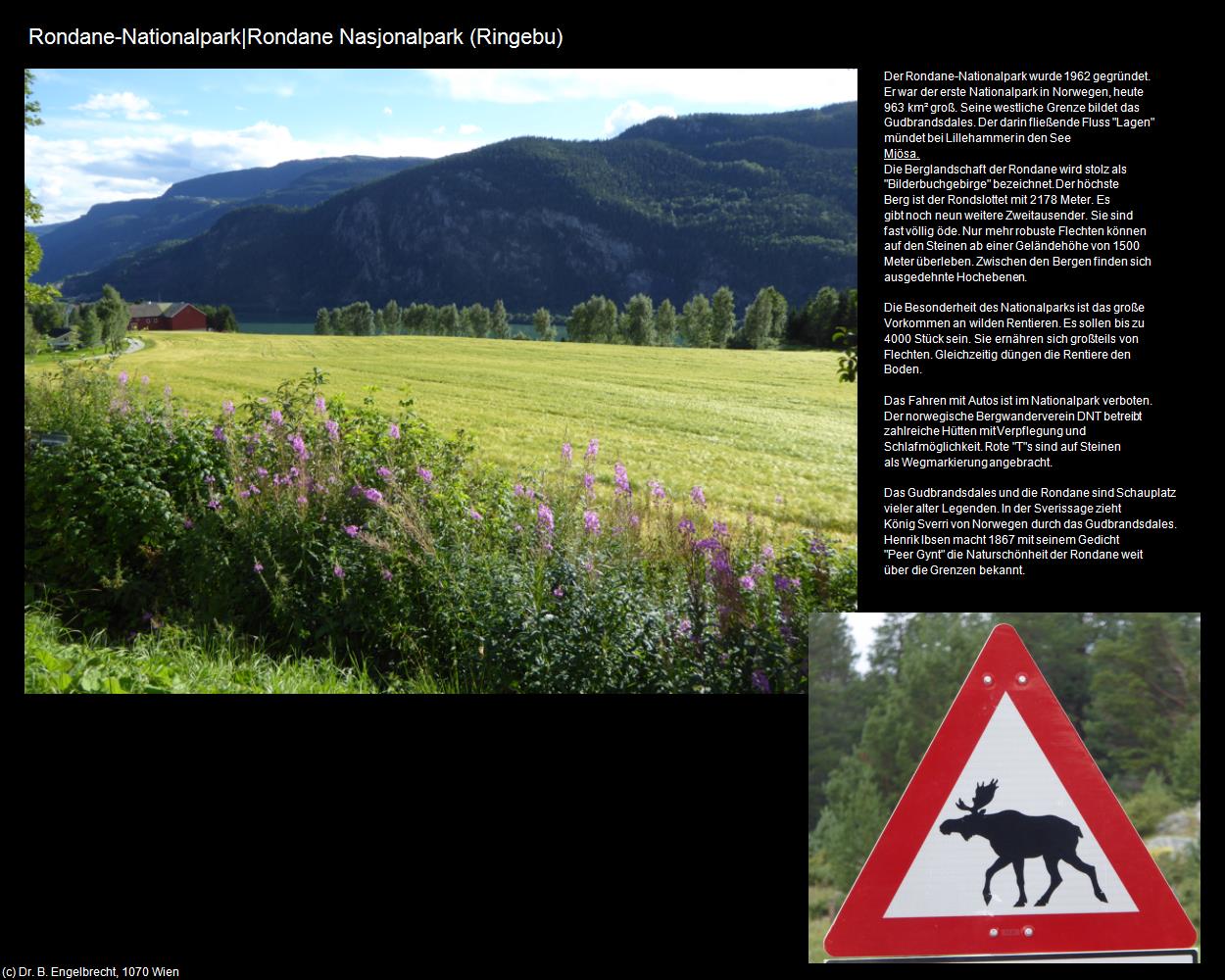 Rondane-Nationalpark|Rondane Nasjonalpark (Ringebu) in Kulturatlas-REISE nach NORWEGEN(c)B.Engelbrecht
