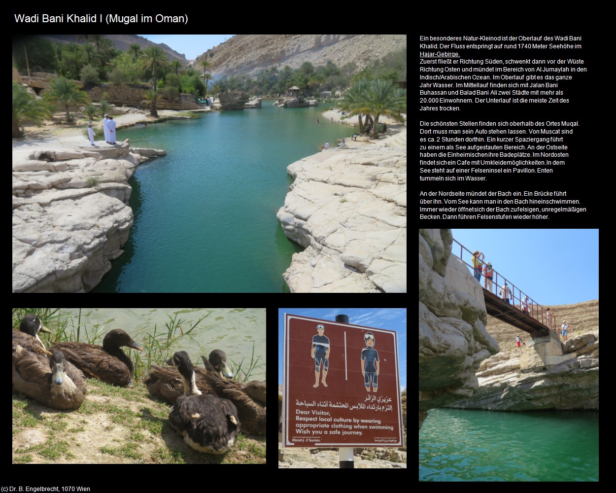Wadi Bani Khalid I (Mugal im Oman) in Kulturatlas-Arab.Emirate+Oman(c)B.Engelbrecht