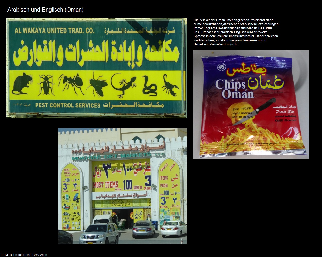 Arabisch und Englisch (+Oman) in Kulturatlas-Arab.Emirate+Oman