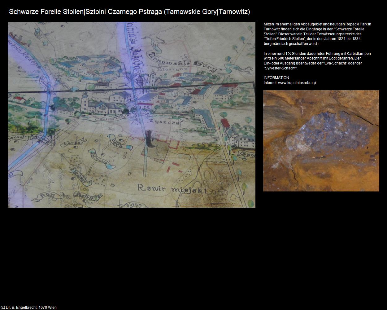 Schwarze Forelle Stollen (Tarnowskie Gory|Tarnowitz) in POLEN-Schlesien