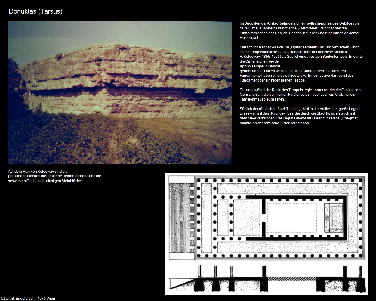 Donuktas (Tarsus) in TÜRKEI(c)B.Engelbrecht